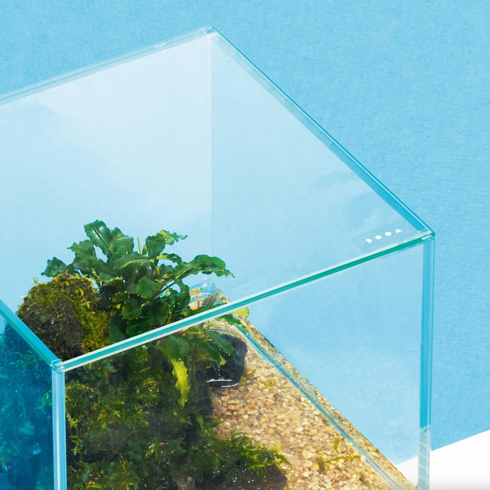 DOOA Neo Glass Cover 30x30cm - Aqua Essentials