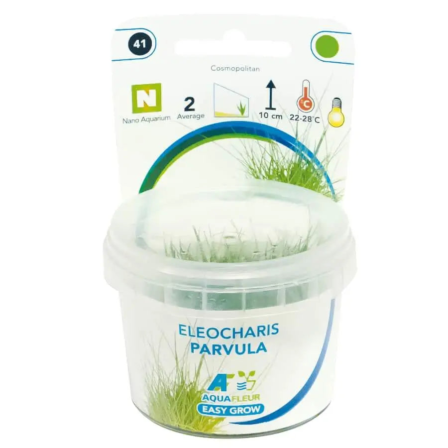 Easy Grow 41 - Eleocharis parvula - Aqua Essentials