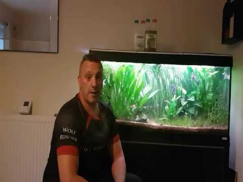 Neutro CO₂ - Liquid Carbon for planted aquariums