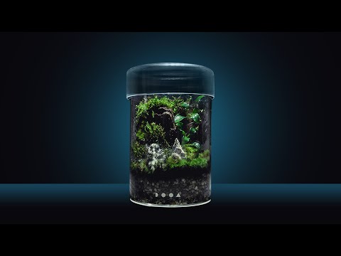 DOOA Glass Pot Maru
