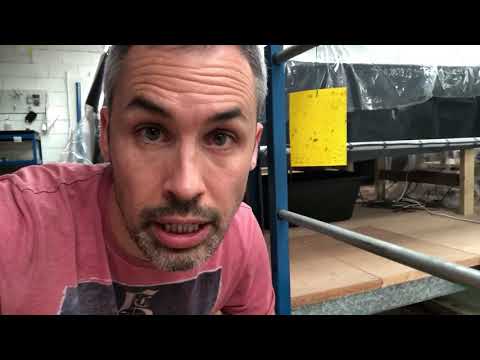 Limnobium laevigatum portion (Amazon frogbit)