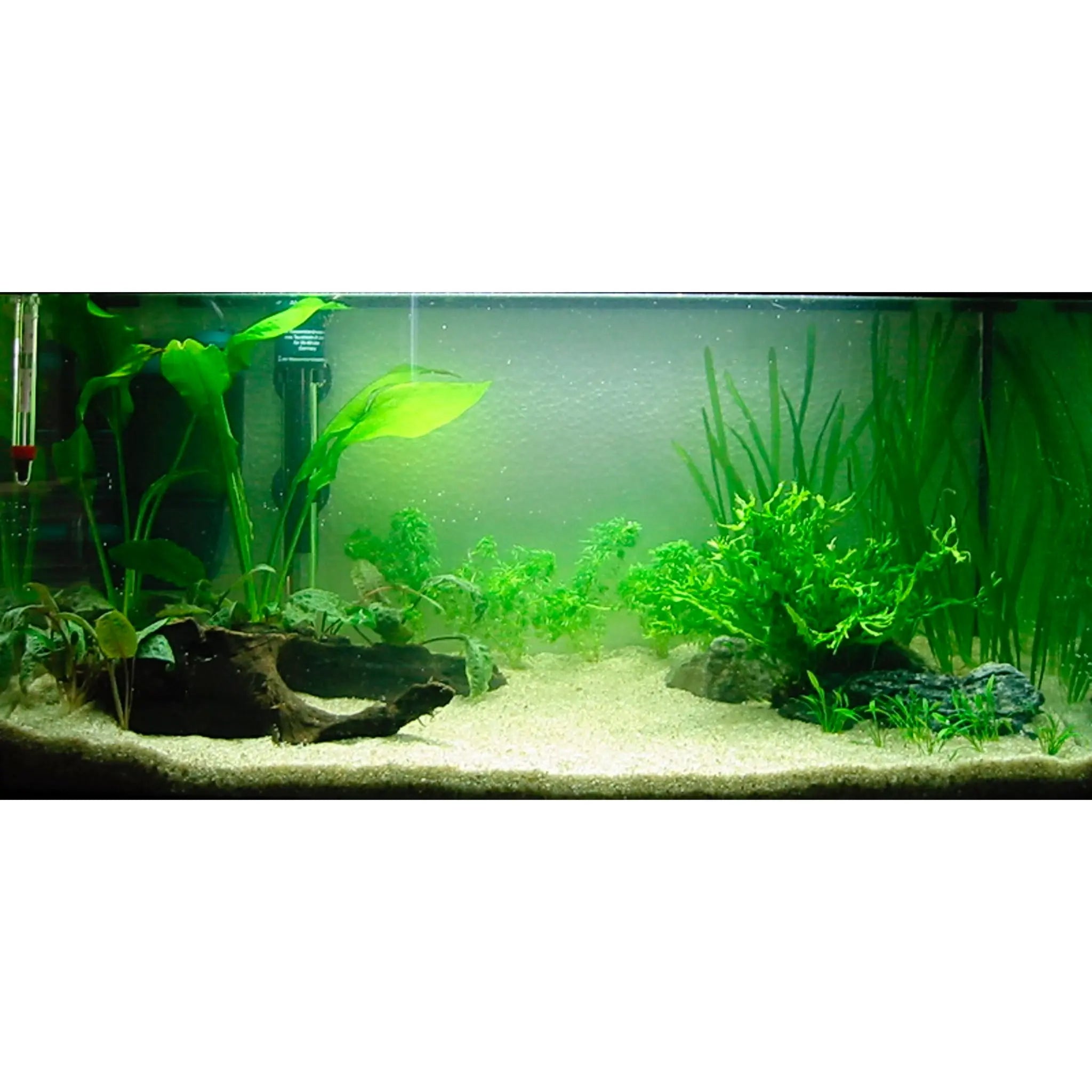 Scaped For You Collection - Layout 1 (54L) Easy - Aqua Essentials