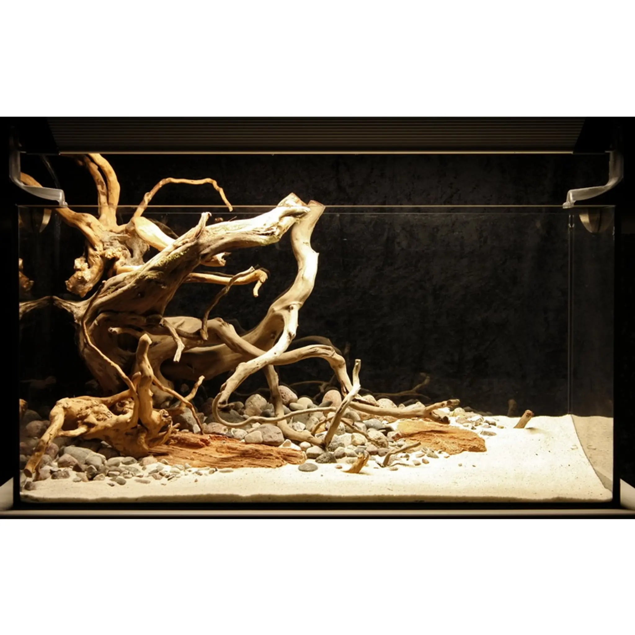 Scaped For You Collection - Layout 28 (54L) Medium - Aqua Essentials