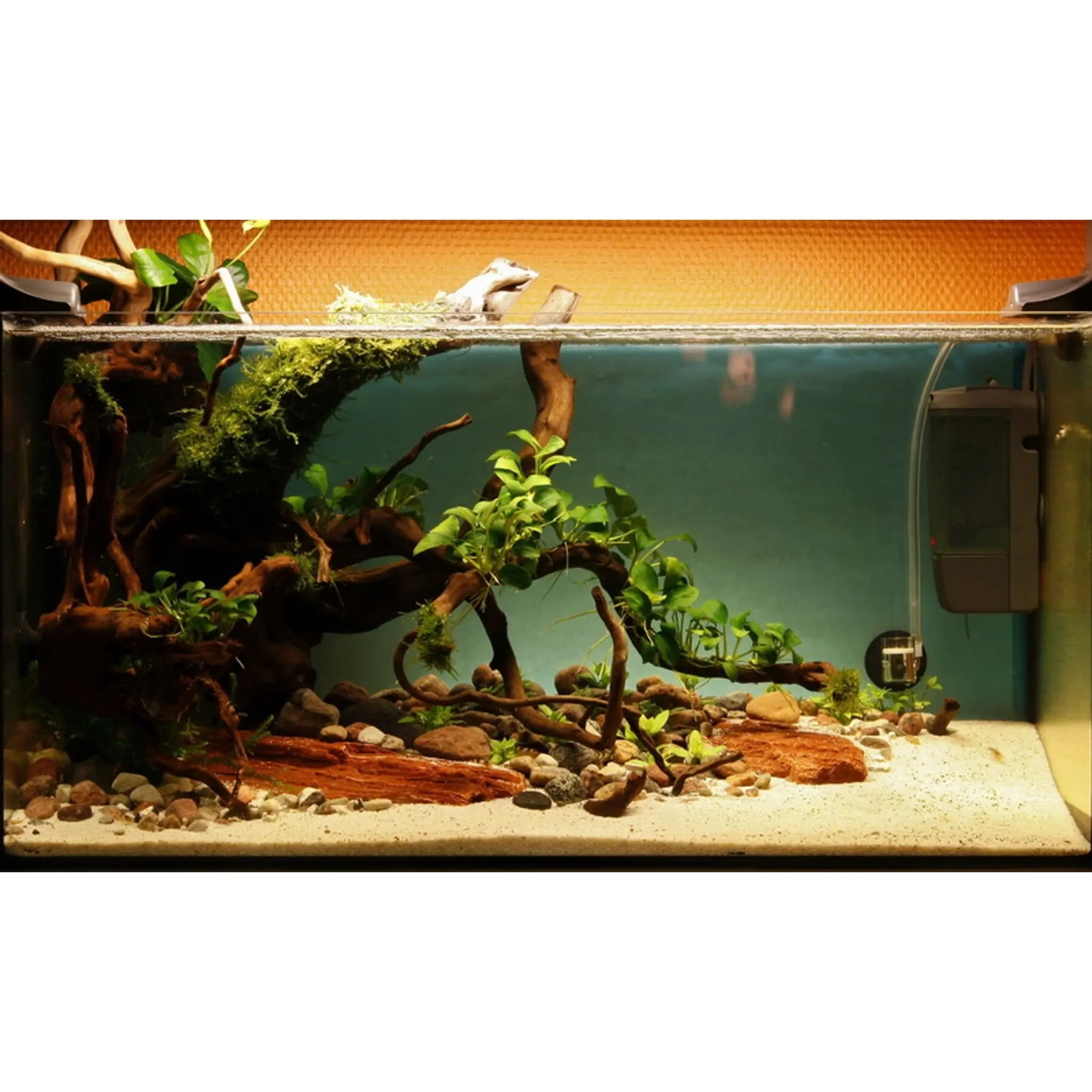 Scaped For You Collection - Layout 28 (54L) Medium - Aqua Essentials