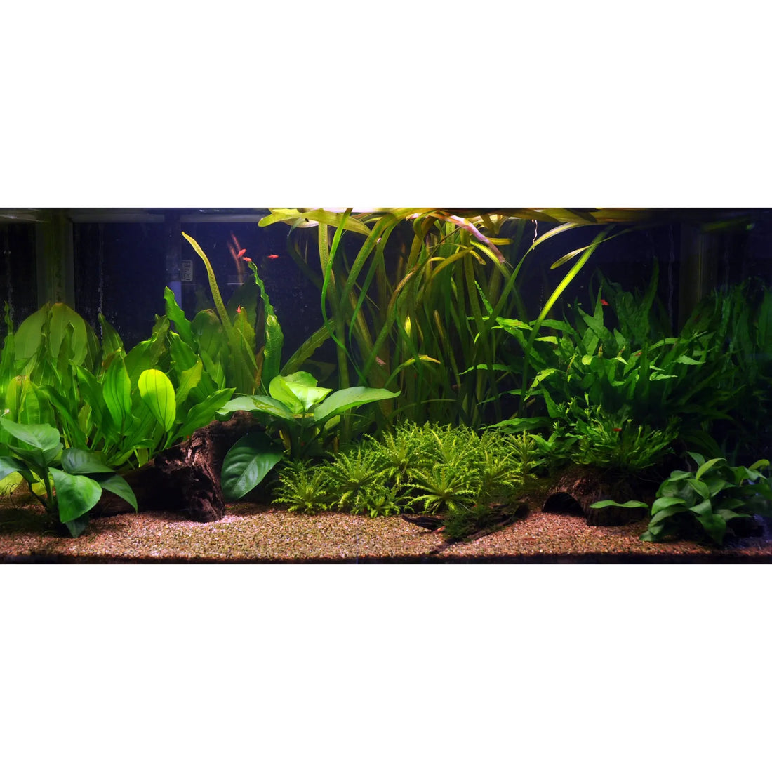 Scaped For You Collection - Layout 16 (128L) Easy - Aqua Essentials