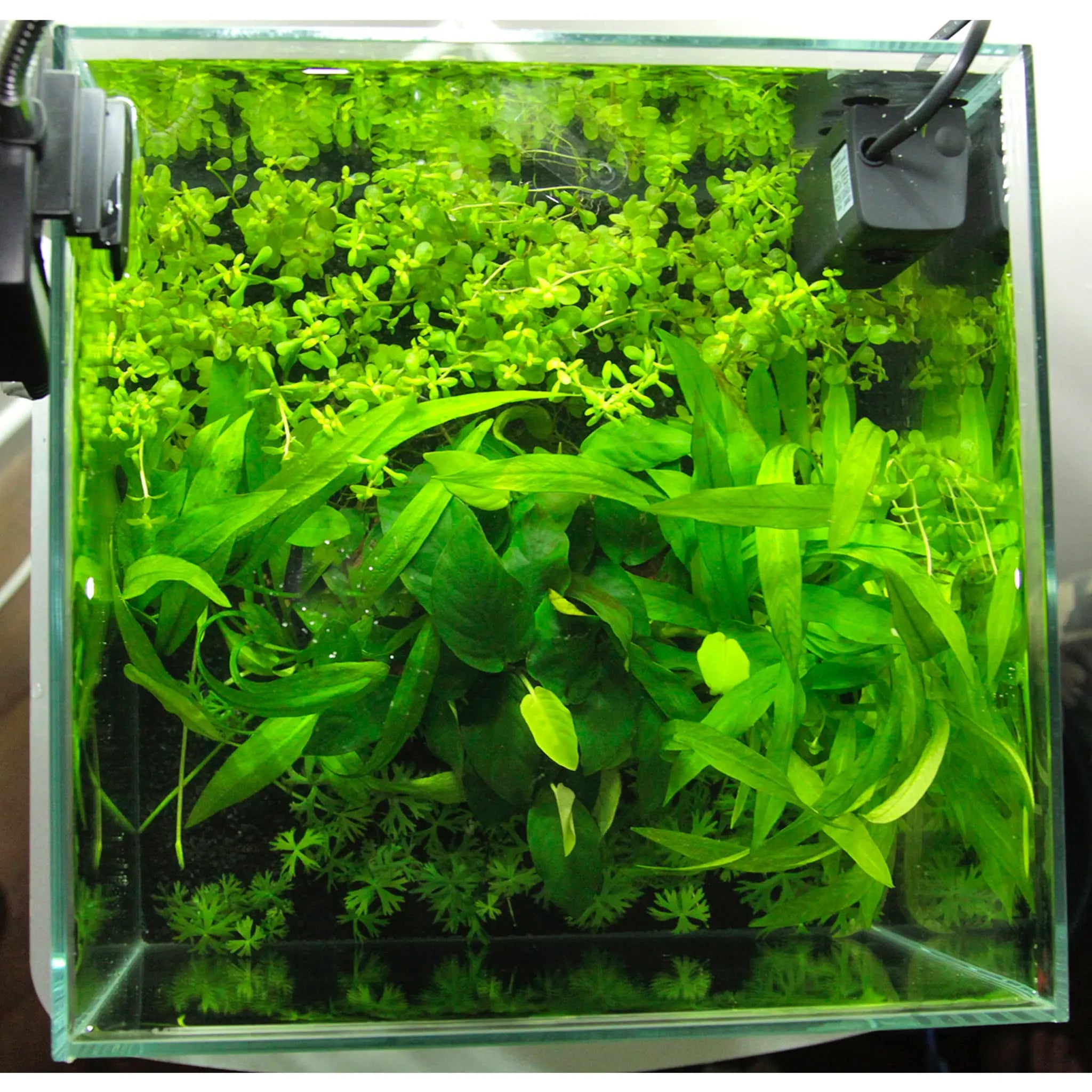 Scaped For You Collection - Layout 30 (27L) Easy - Aqua Essentials