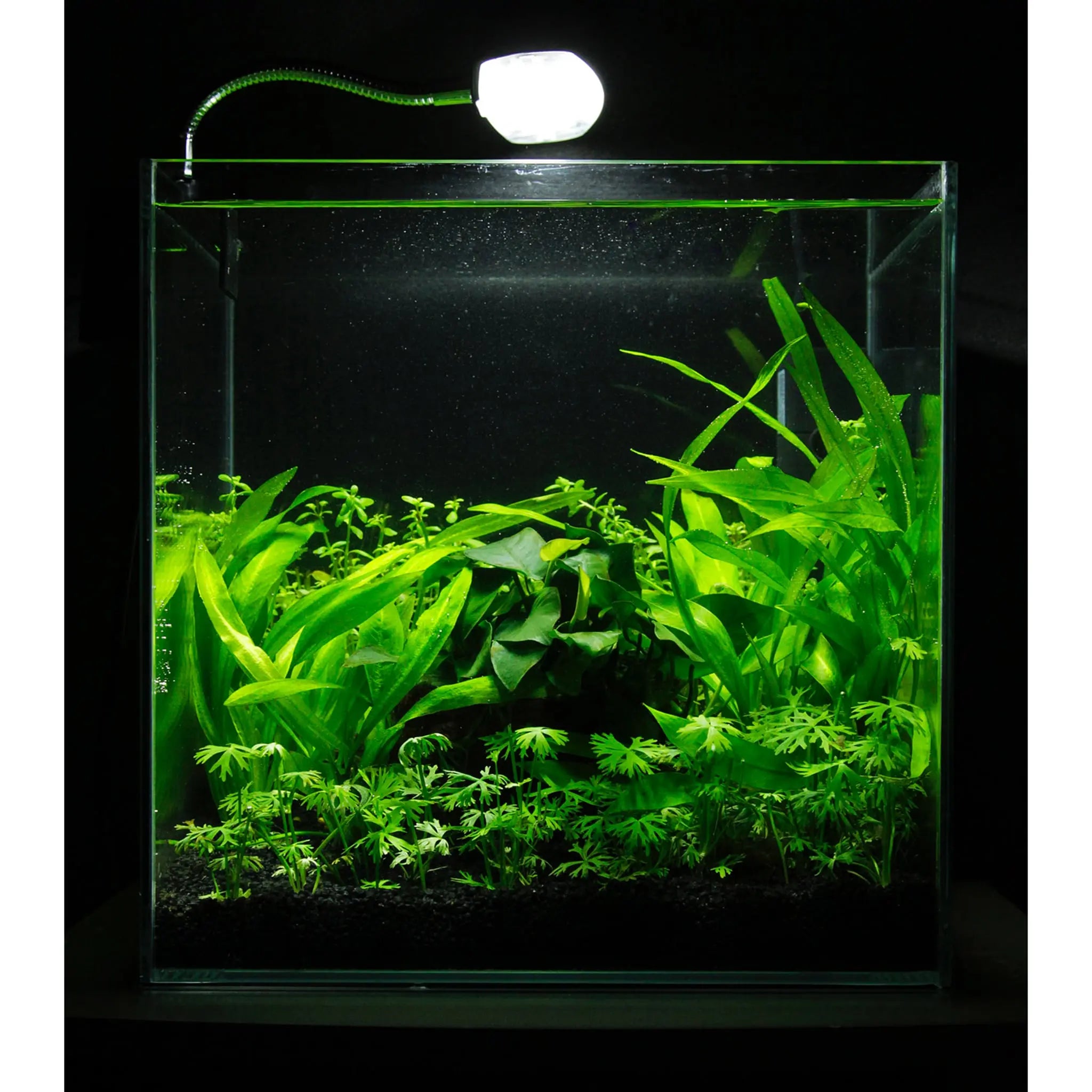 Scaped For You Collection - Layout 30 (27L) Easy - Aqua Essentials