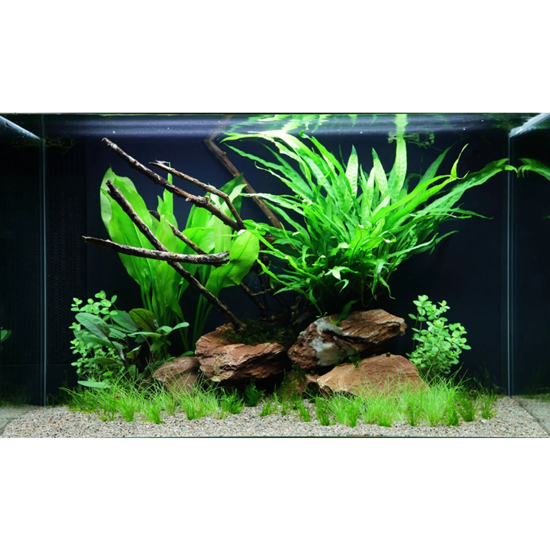 Scaped For You Collection - Layout 63 (100L) Easy - Aqua Essentials