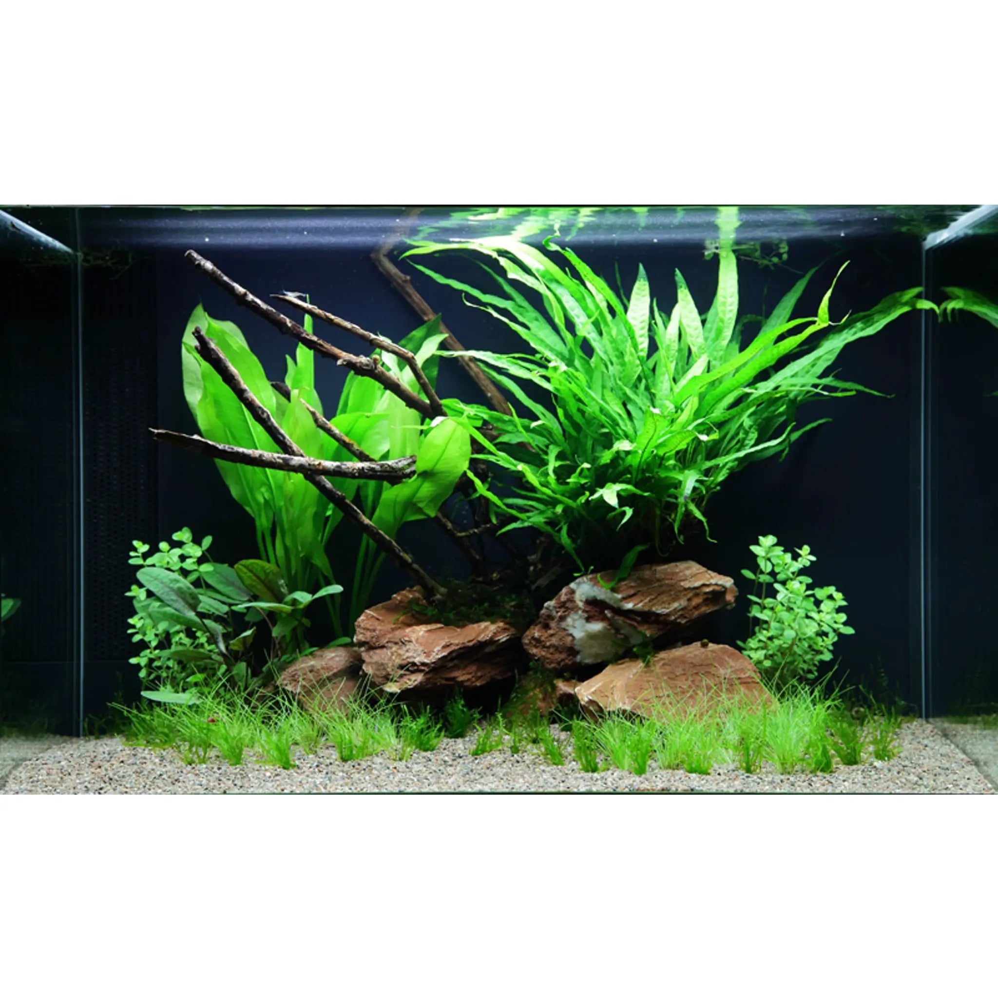 Scaped For You Collection - Layout 63 (100L) Easy - Aqua Essentials