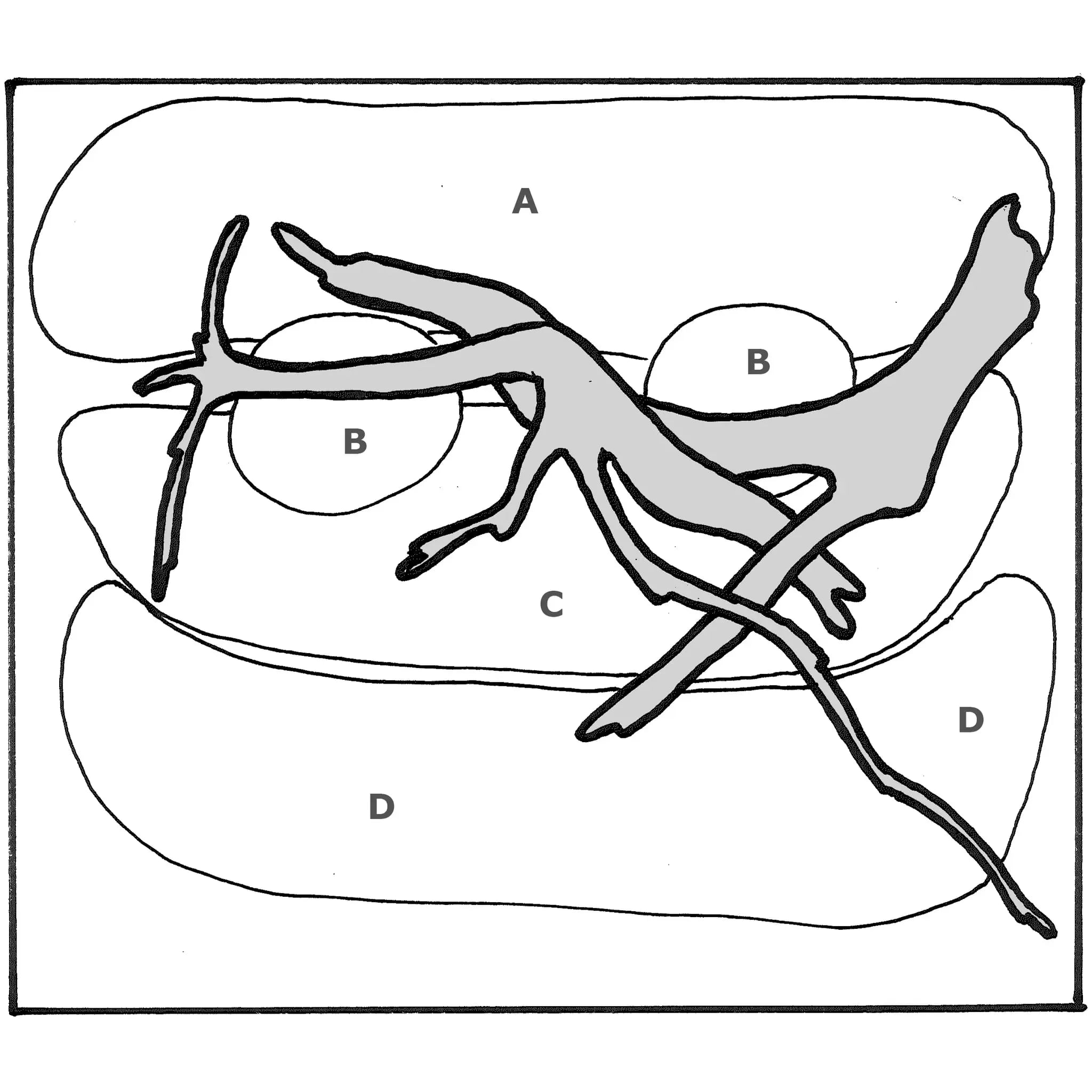 Scaped For You Collection - Layout 66 (48L) Easy - Aqua Essentials