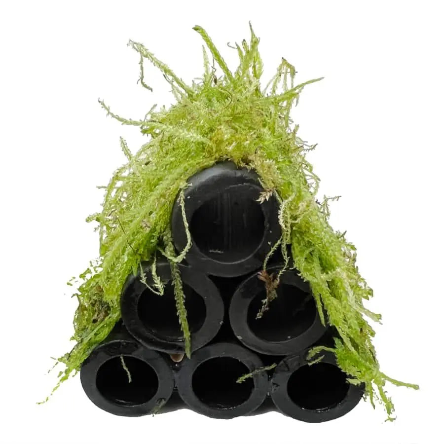 Java Moss Shrimp Shelter - Aqua Essentials