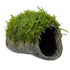 Mossy Fish Cave - Single Hole - Aqua Essentials