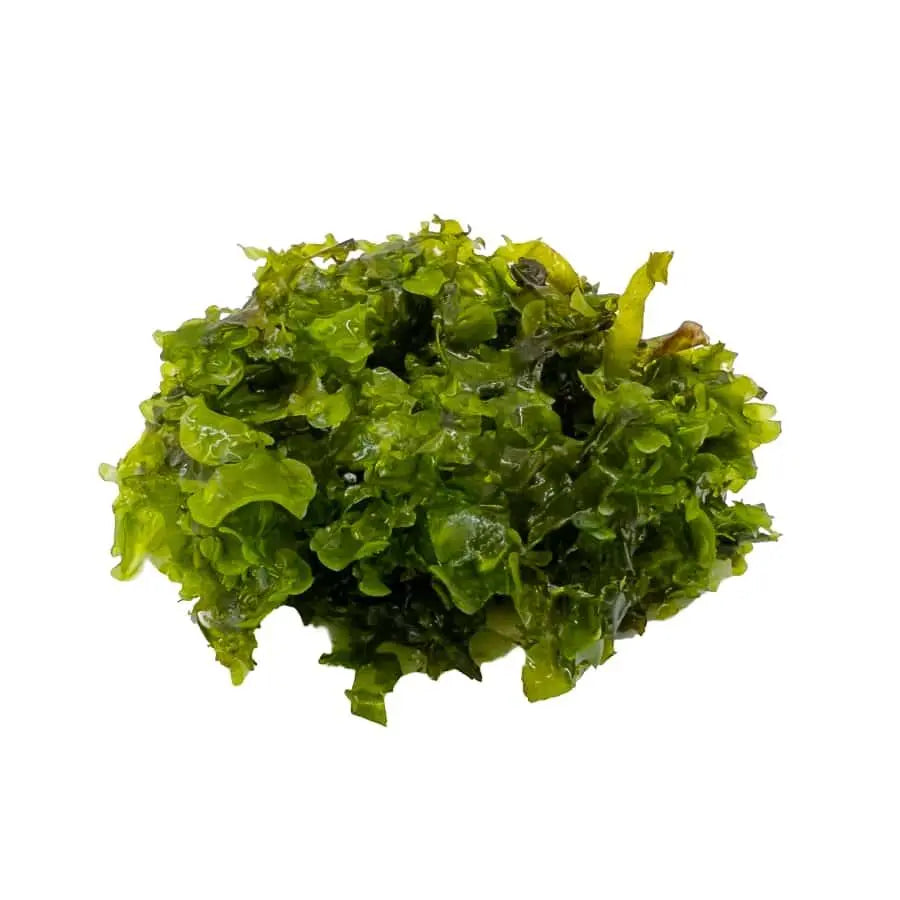 Pelia Moss Portion - Aqua Essentials