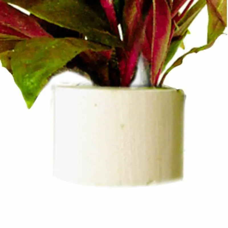 Plant Anchors - holds plants - foods down - Aqua Essentials