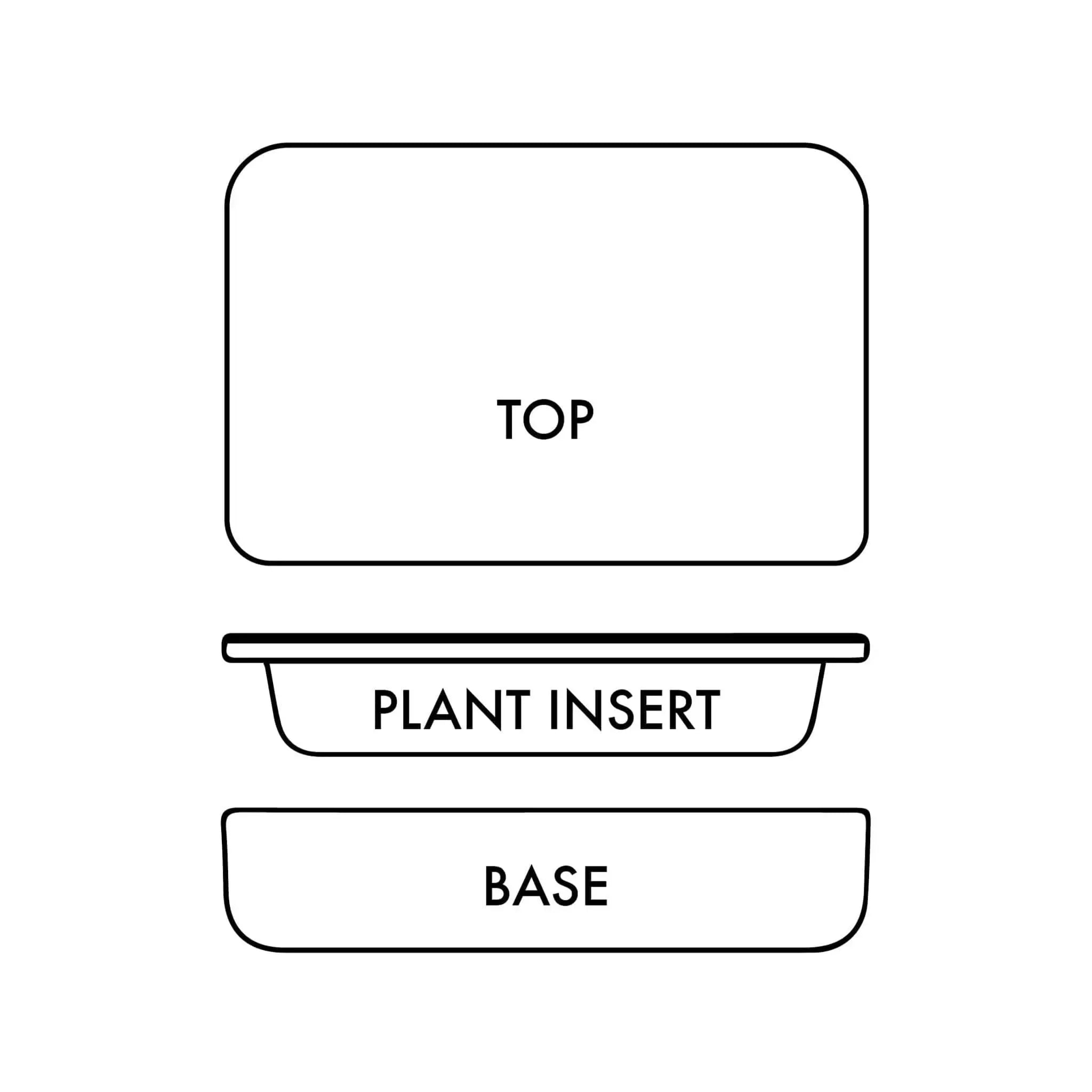 Sanctuary M Temperate Carrara Terrarium - Aqua Essentials