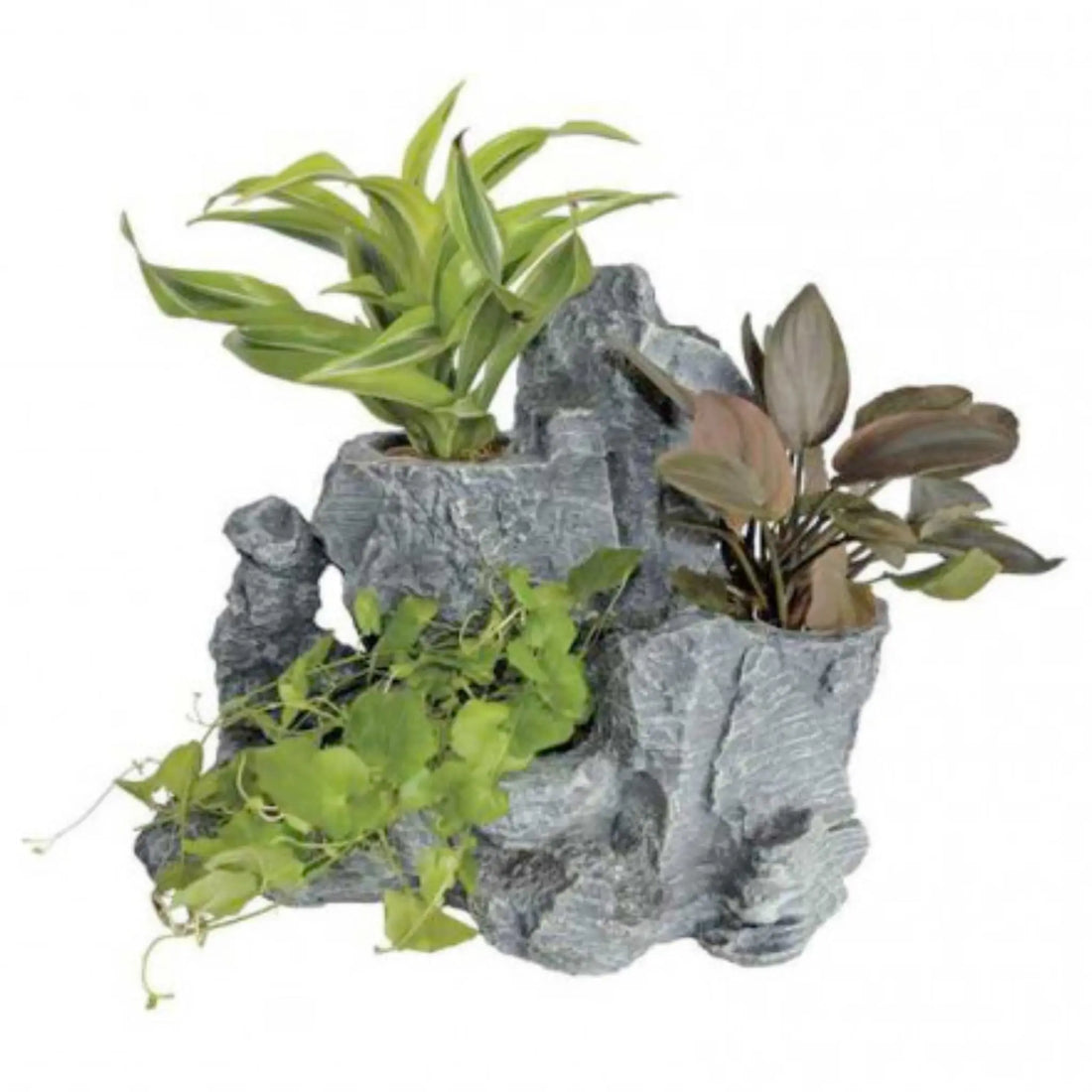 Superfish Scaper Rock Planty - Aqua Essentials