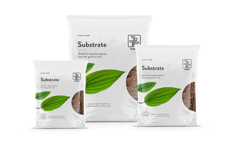 The-Importance-of-Substrate-in-Planted-Aquarium Aqua Essentials