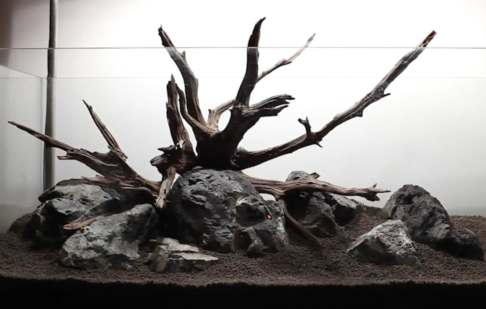120cm-tank-aquascaping-video Aqua Essentials