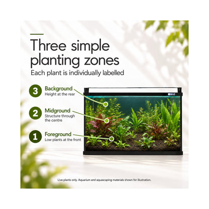 Aqua One Horizon 130 Aquarium Plant Collection