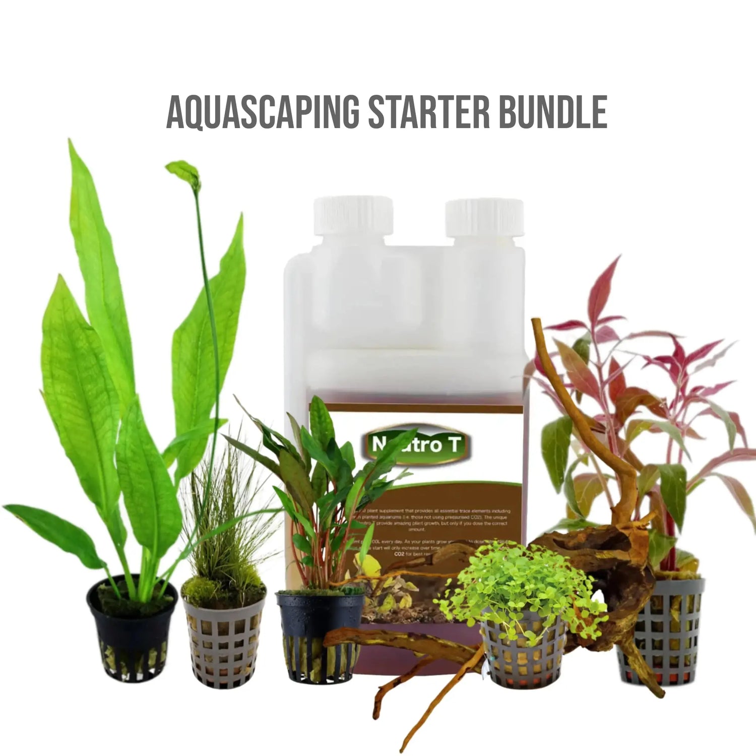 Aquascape Starter Bundle - 5 Plants, Fertiliser and Wood Aqua Essentials