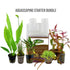 Aquascape Starter Bundle - 5 Plants, Fertiliser and Wood Aqua Essentials
