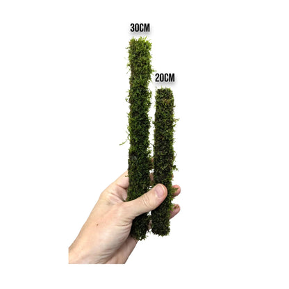 Bamboo Stick with Java Moss Aqua Essentials