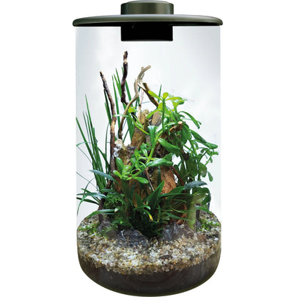 BioArt Cylinder 285 - Black Aquafleur