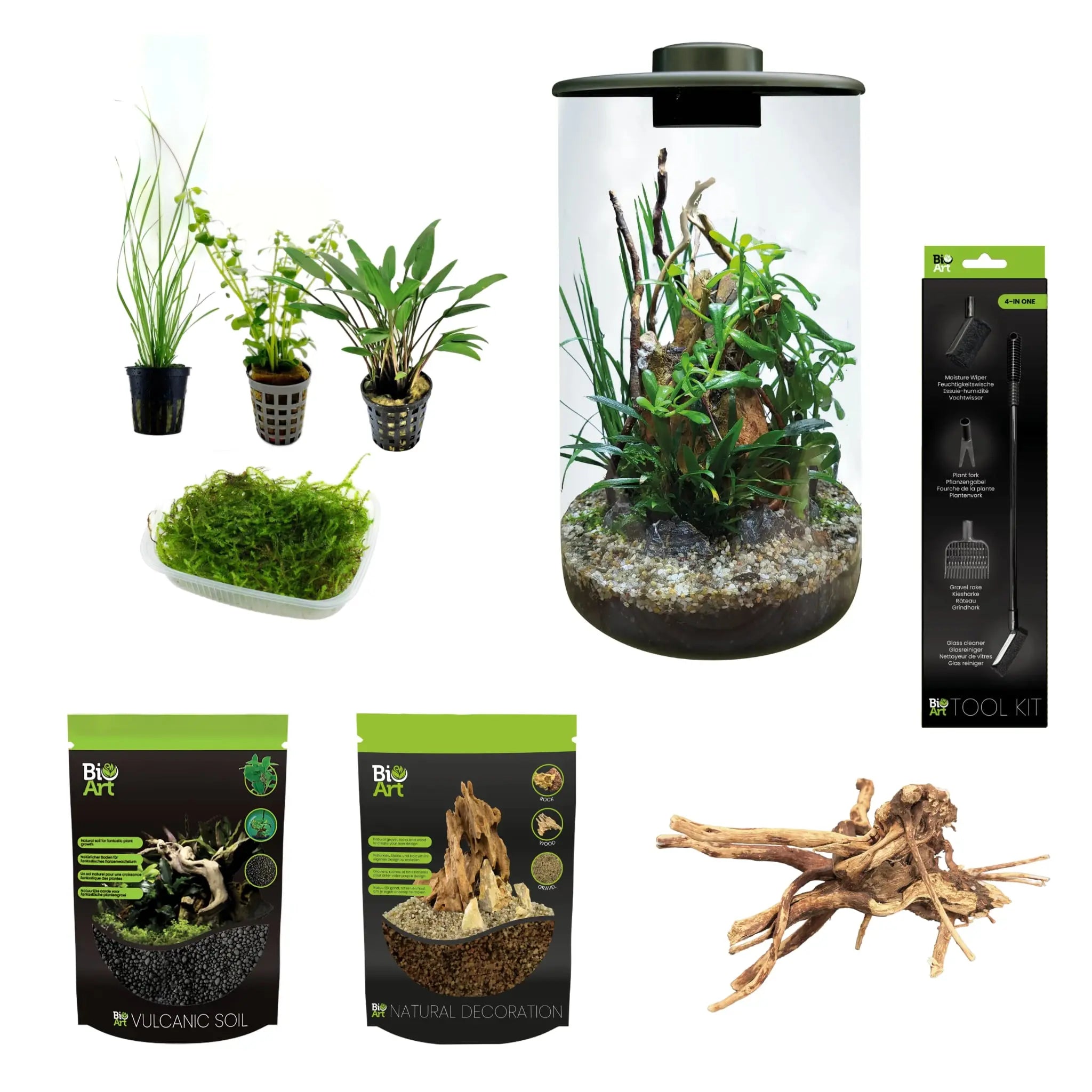 BioArt Cylinder Terrarium with Plants and Accessories Bundle BioArt