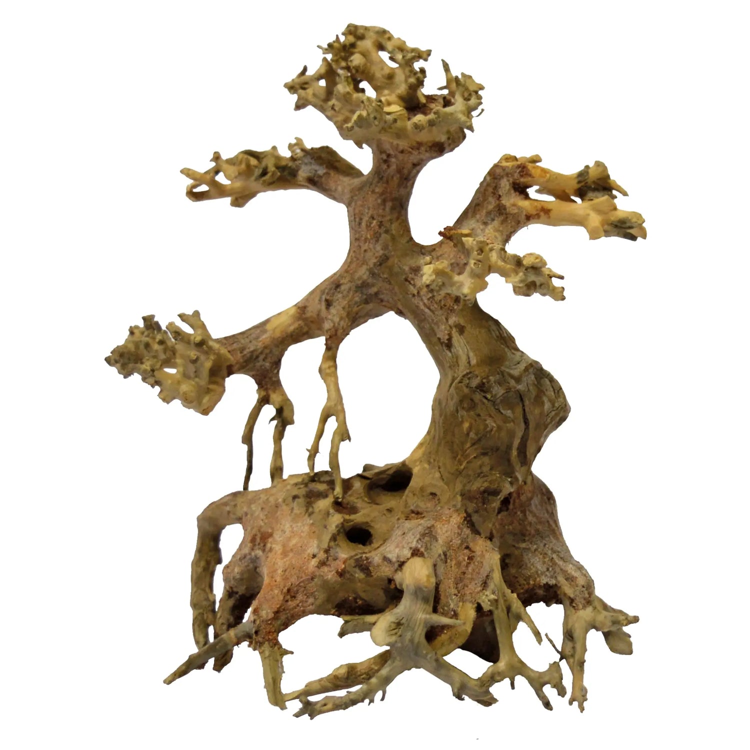 Bonsai Tree Driftwood - XS (13x10x13cm) Superfish