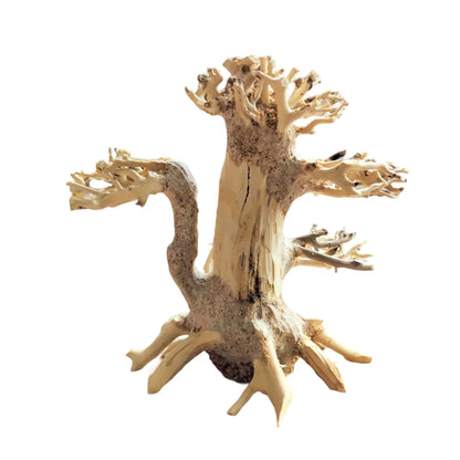 Bonsai Tree Driftwood - XS (13x10x13cm) Superfish