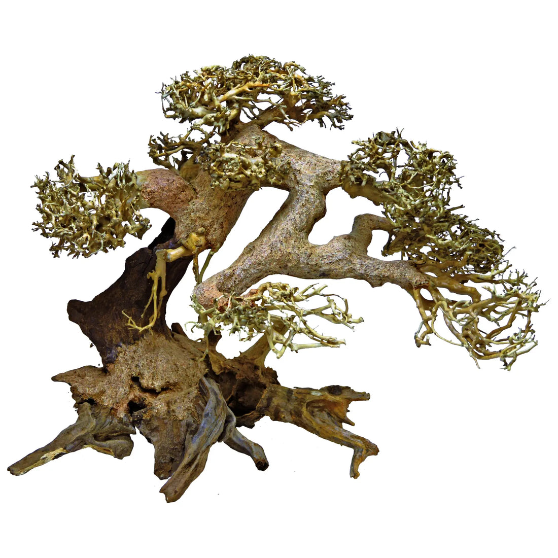 Bonsai Tree Driftwood - XS (13x10x13cm) (Copy) Superfish