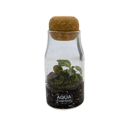 Bottled Terrarium Aqua Essentials