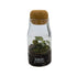 Bottled Terrarium Aqua Essentials