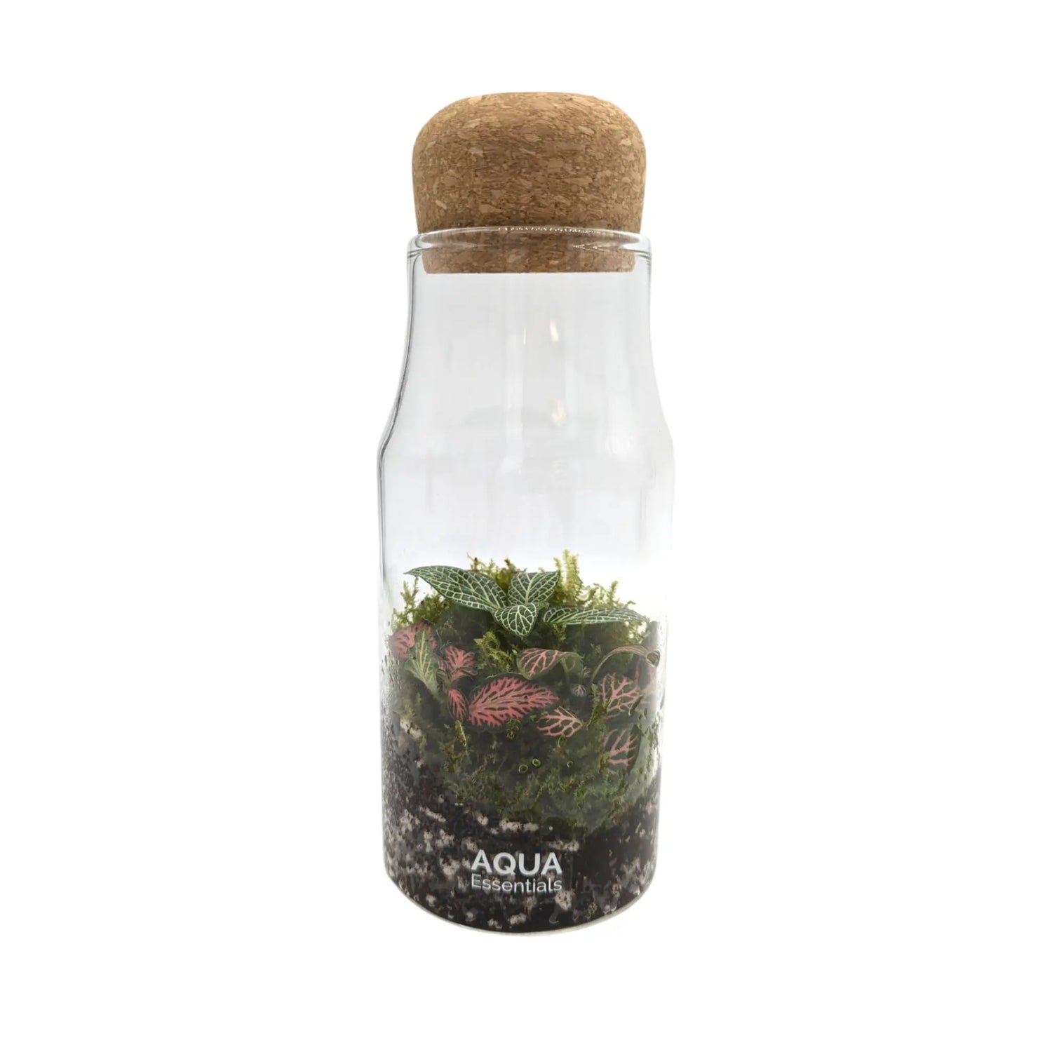 Bottled Terrarium Aqua Essentials