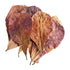 Catappa Leaves for Water Conditioning Aqua Essentials