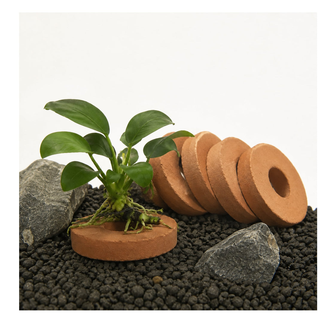 Ceramic Disc Aquarium Plant Weights - Pack of 20