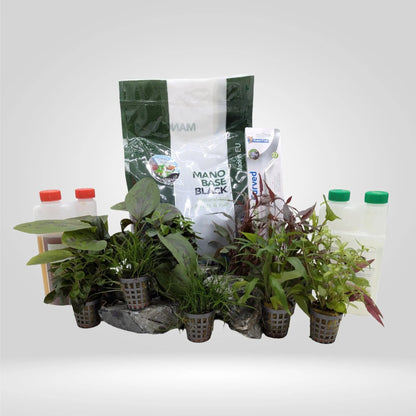 Complete Planted Aquarium Tank Bundle - 60L Aqua Essentials