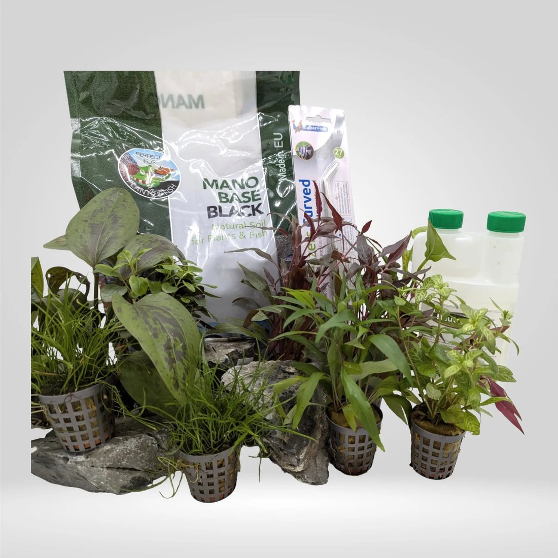 Complete Planted Aquarium Tank Bundle - 60L Aqua Essentials