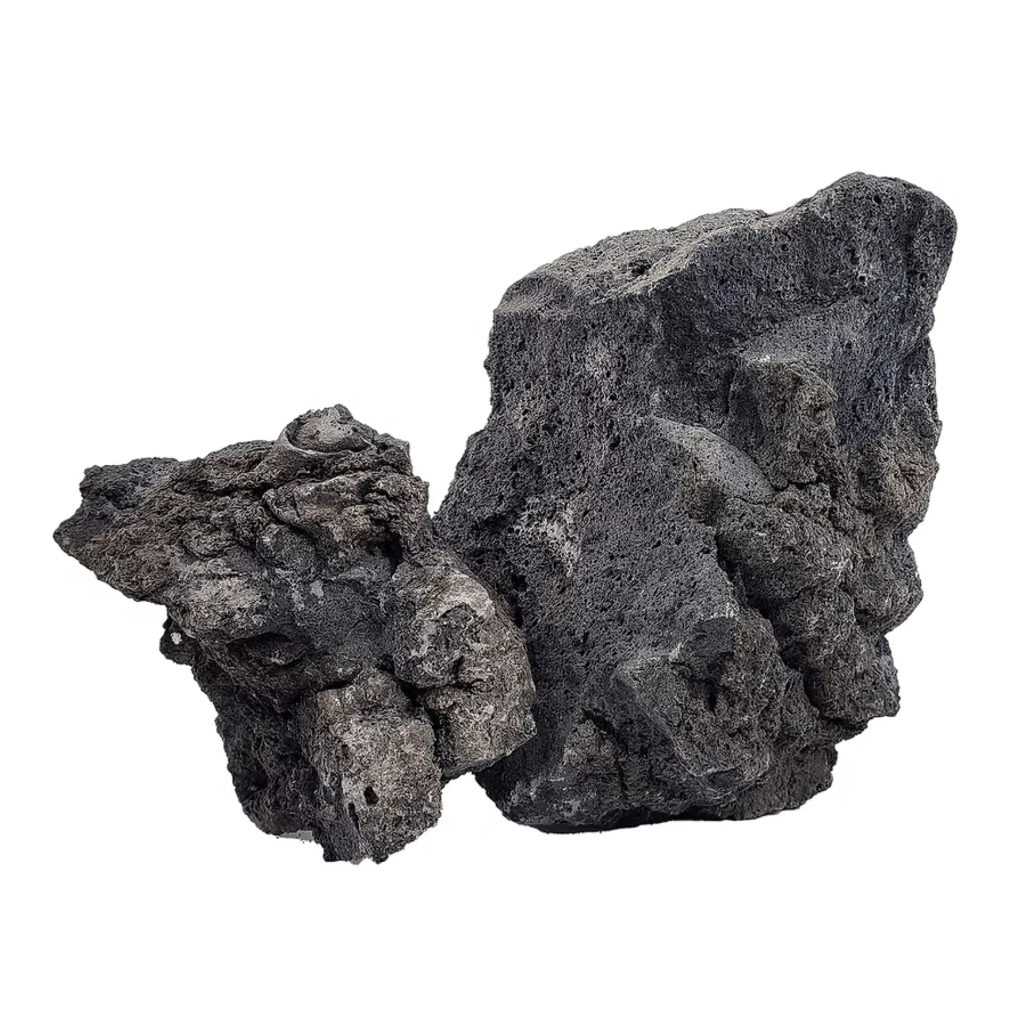 Darwin Black Lava Stone Box- Aqua Essentials