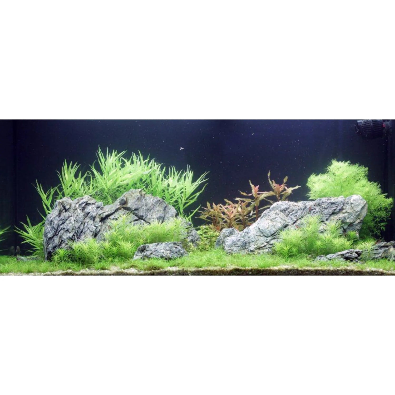 Mini Landscape Rock (Seiryu Stone) 3kgs Aqua Essentials