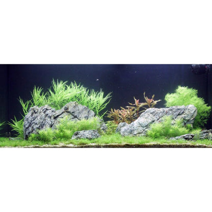 Mini Landscape Rock (Seiryu Stone) 3kgs Aqua Essentials
