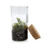 Mini Terrariums Aqua Essentials