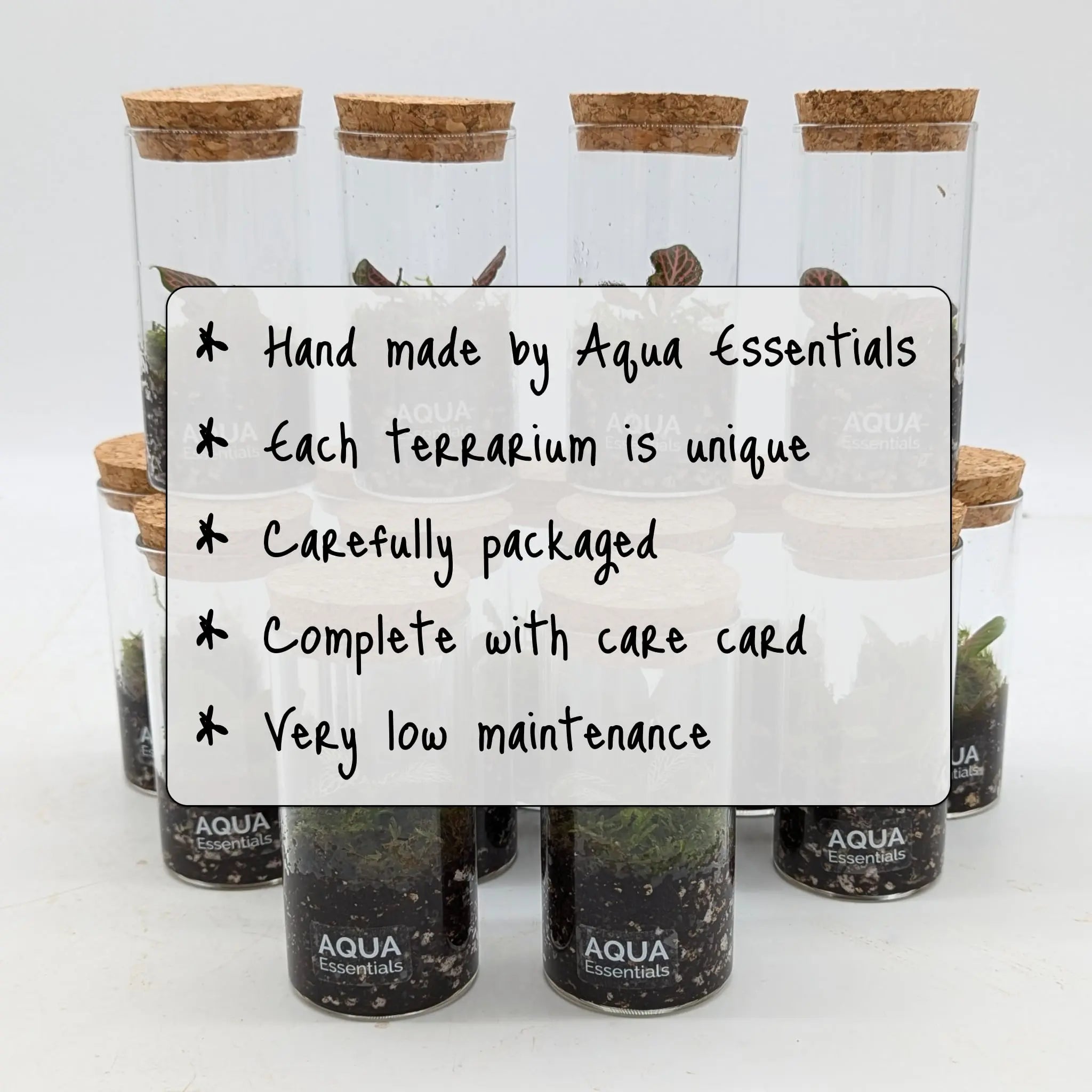 Mini Terrariums Aqua Essentials