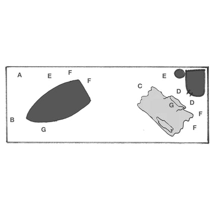 Scaped For You Collection - Tropica Layout 91 (96L) Easy Tropica