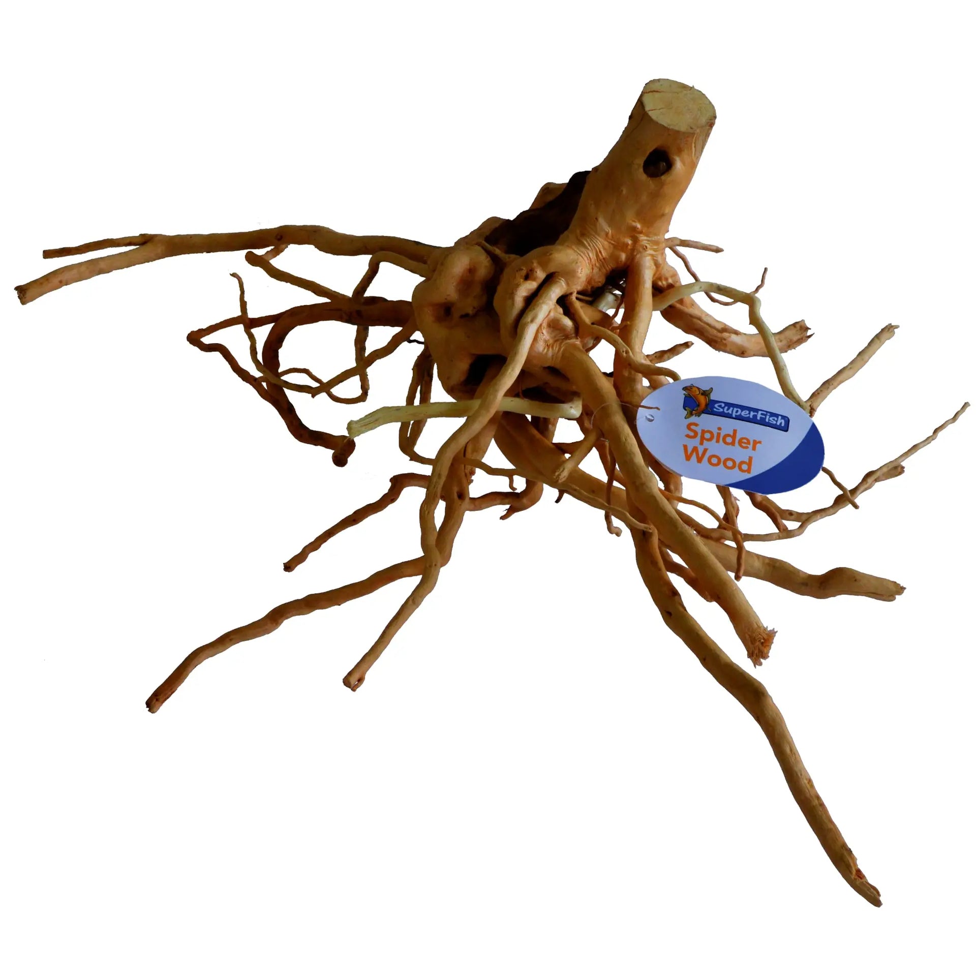 Spiderwood medium [30-40 cm] kopen voor het terrarium? | A4080075 | 8715897259951