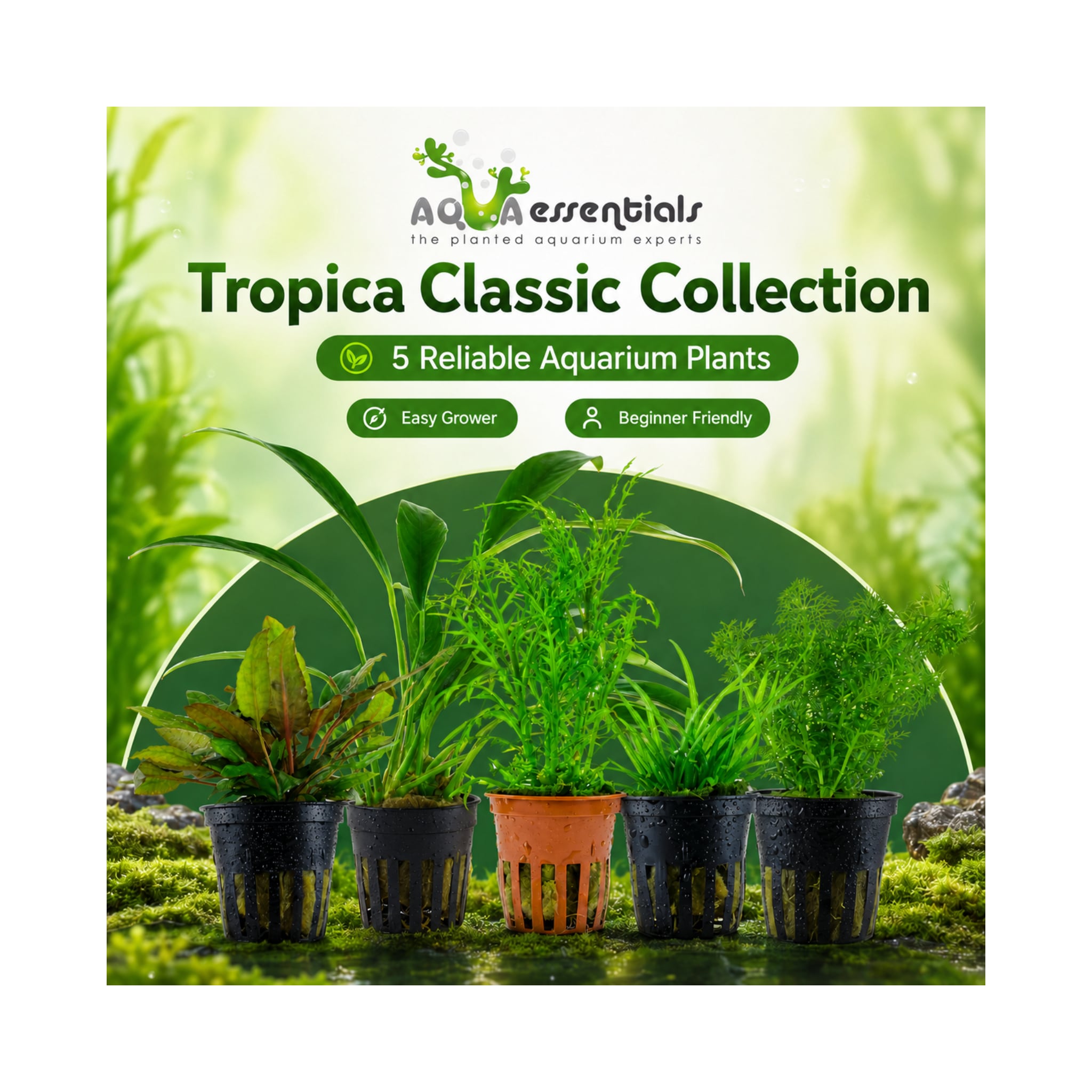 The Tropica Classic Collection