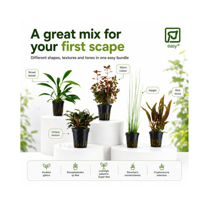 Tropica Beginner Plant Bundle - 5 Easy-Care Aquarium Plant
