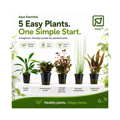 Tropica Beginner Plant Bundle - 5 Easy-Care Aquarium Plant