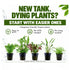 Tropica easy beginner aquarium plant selection, five easy plants in 5cm pots, no CO2 or tying needed