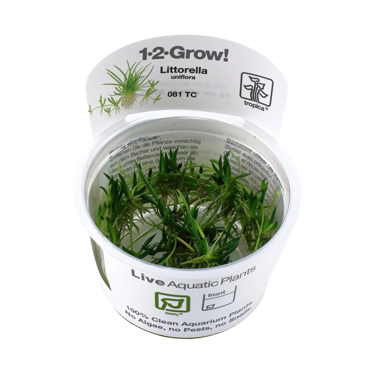 Tropica Littorella uniflora 1-2-GROW! - Aqua Essentials